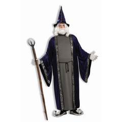 Wizard Adult Plus Size Costume