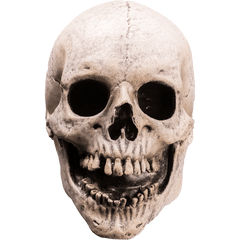 Fear Street 1994: Skull Latex Mask