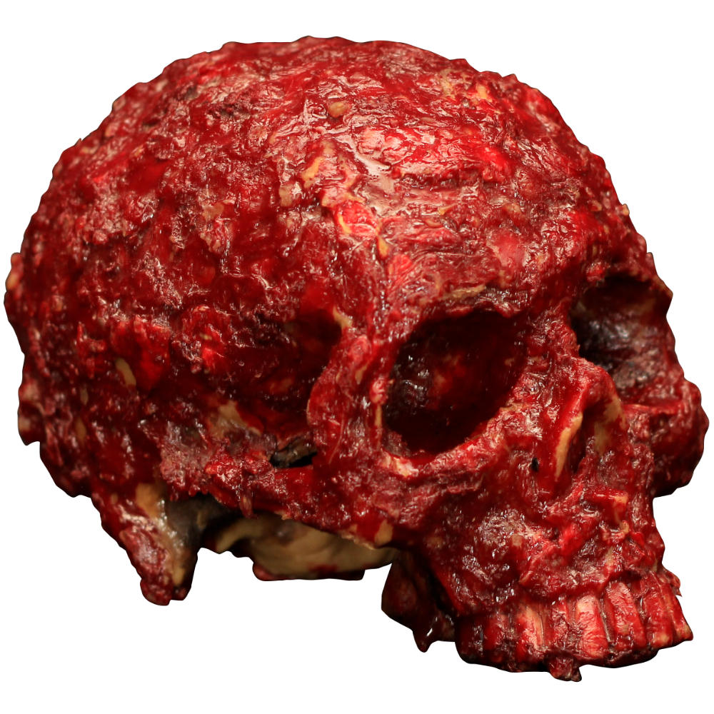 Blood Scab Resin Skull Prop