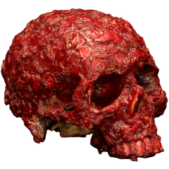 Blood Scab Resin Skull Prop