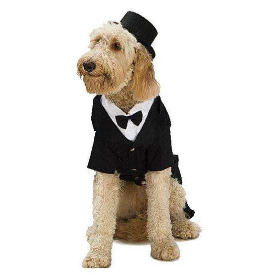 Black Pet Top Hat w/ Elastic Band