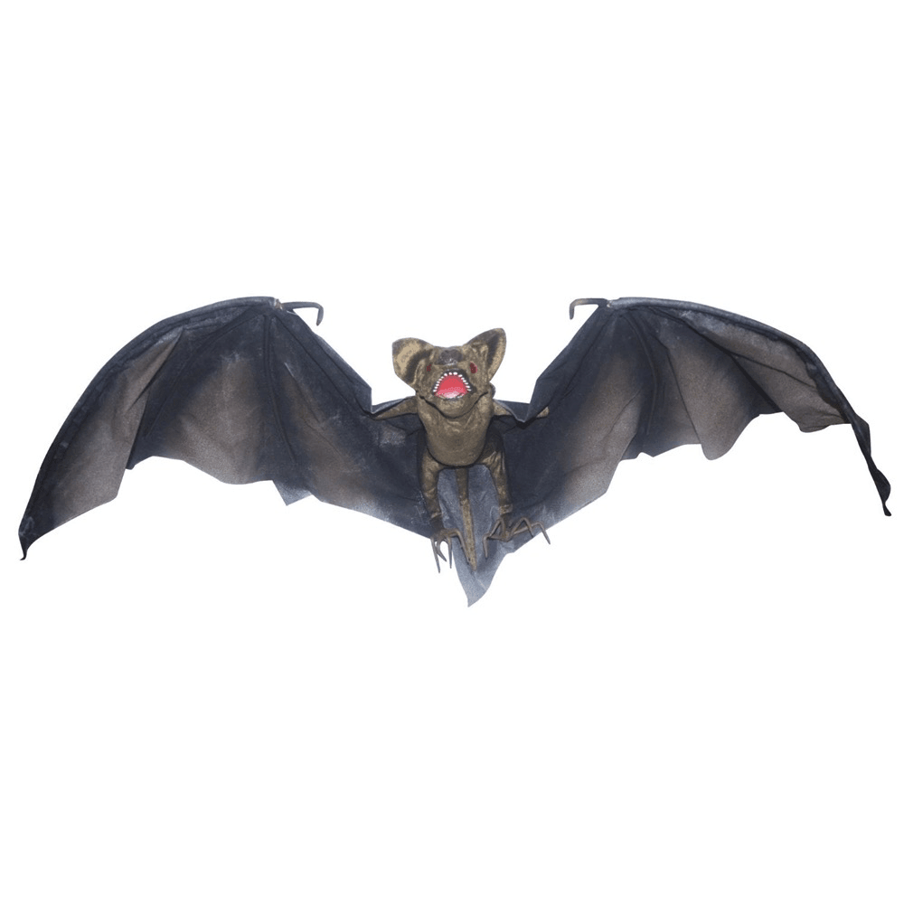 Vampire Bat