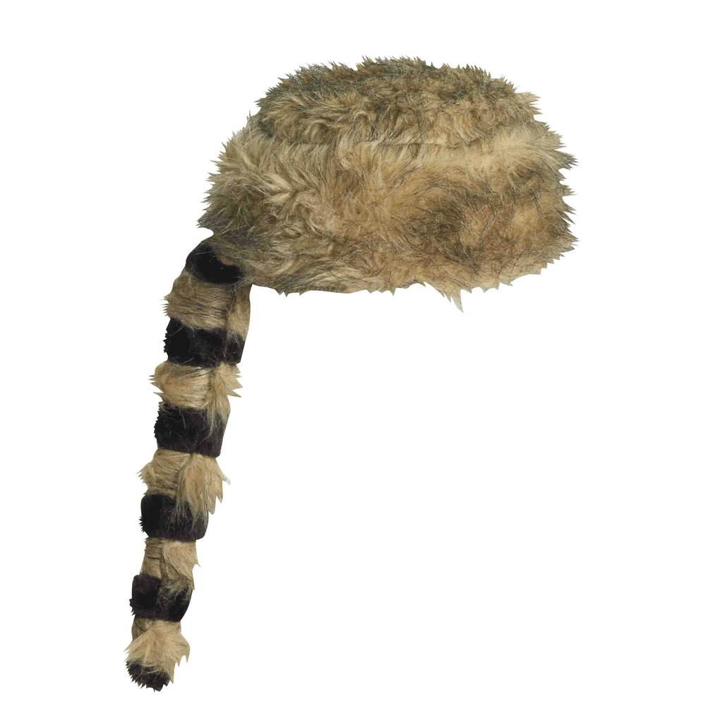 Raccoon Hat