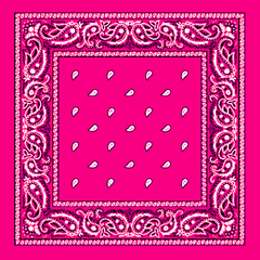 Paisley Bandanas