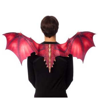 Sublimated Dragon Wings