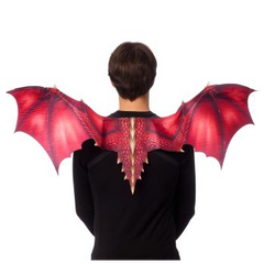 Sublimated Dragon Wings