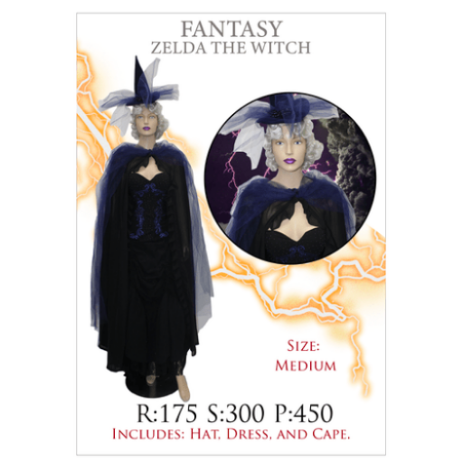 Zelda Fantasy Witch Adult Costume