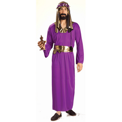 Wiseman Biblical Times Adult Costume