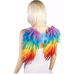 Rainbow Wings