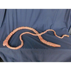 8' Realistic Flex Intestines Prop