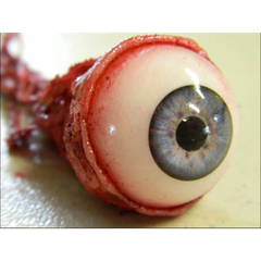 Realistic Bloody Ripped Out Eyeball